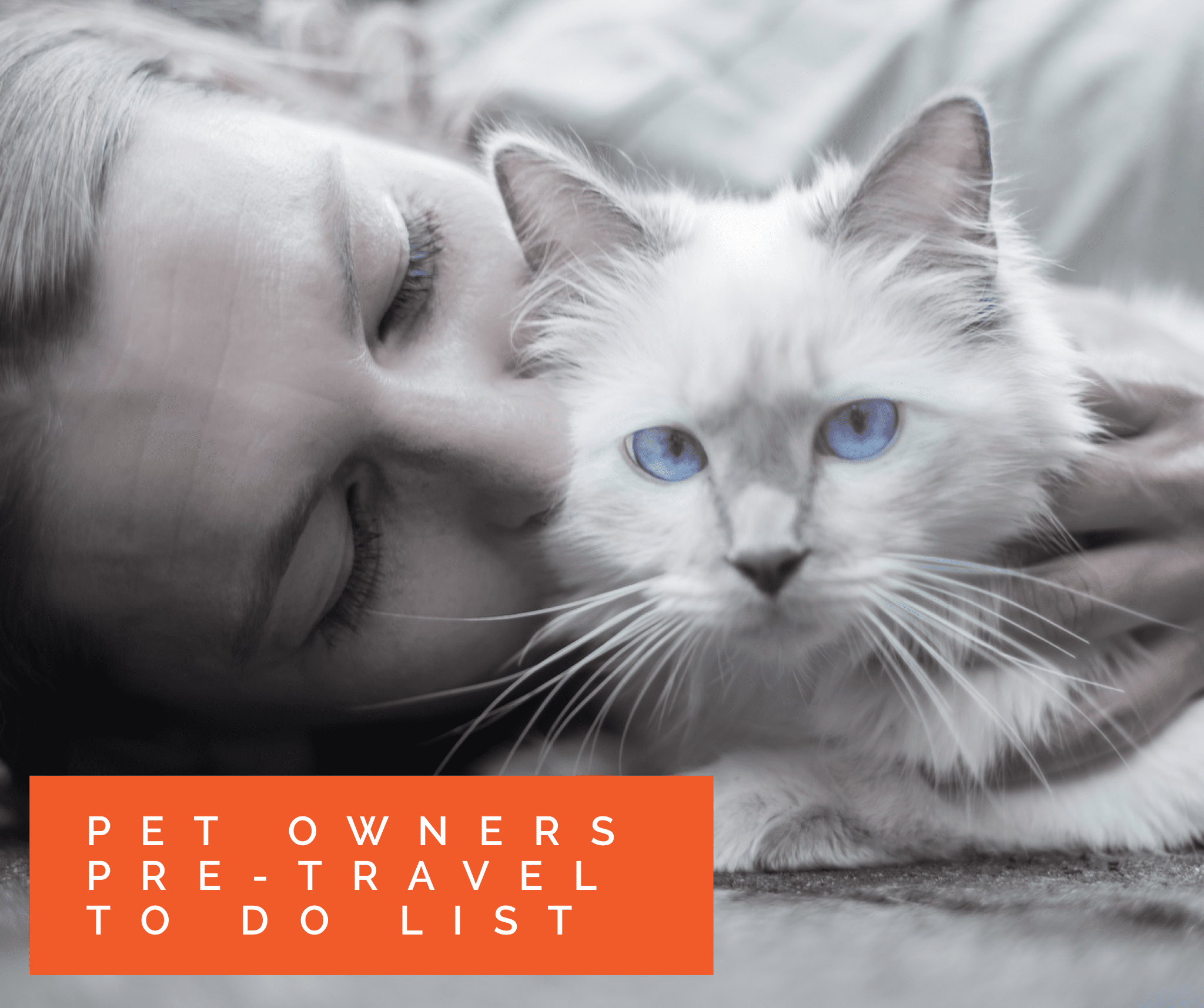 Pet Owners Pre-Travel To Do List