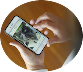 Keeping in touch with pet owners when they are away is part of the service provided by House and Pet Sitters.