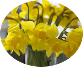 It's the little details like flowers to welcome owners home that make House and Pet Sitters special.