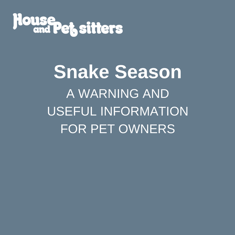Snake season warning and useful information