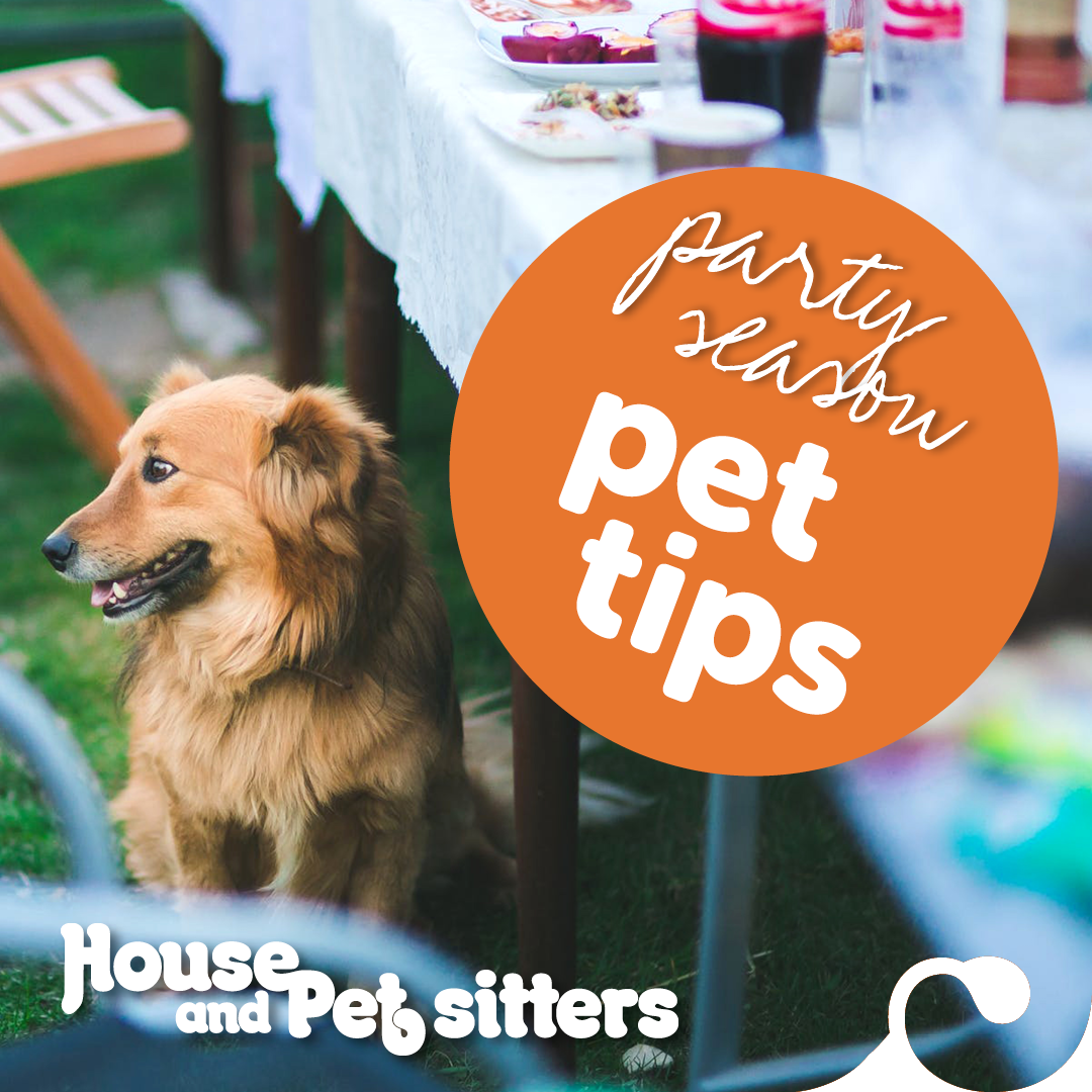 House and Pet Sitters PET TIPS for the 'party season' House and Pet